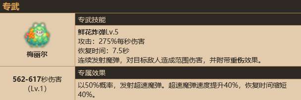 坎公骑冠剑土队谁队长