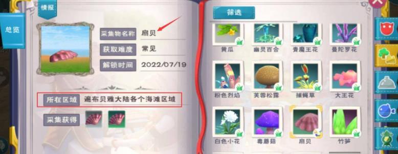 创造与魔法中大扇贝有什么用 创造与魔法中大扇贝有什么用