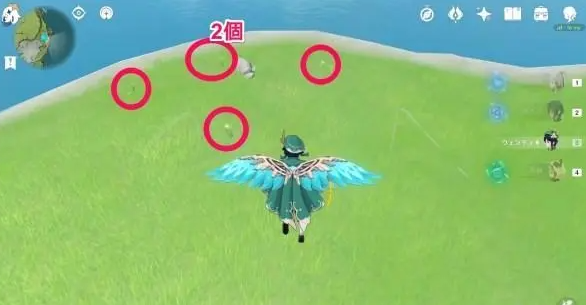 原神塞西莉亚花采集地点在哪