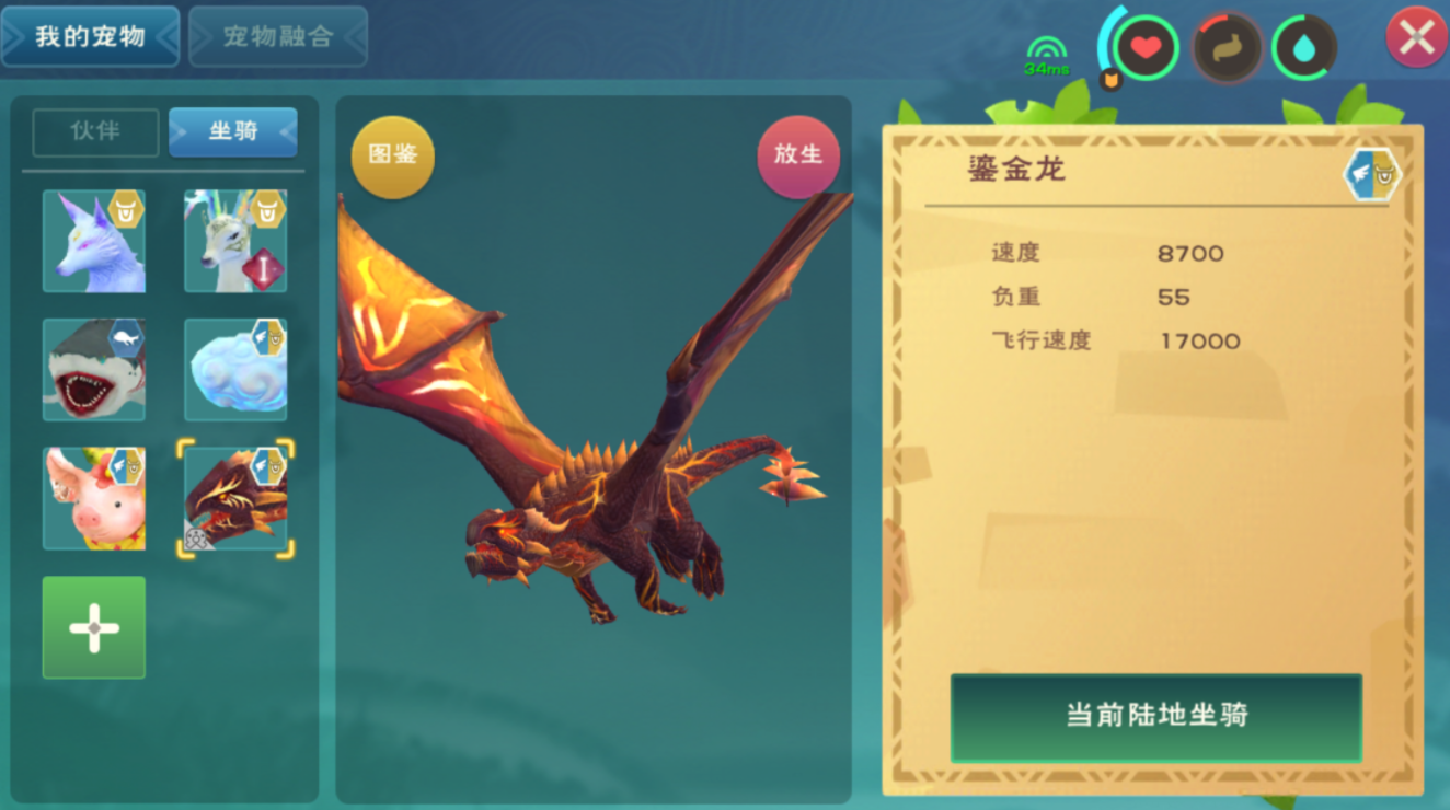 创造与魔法飞龙吃多少饲料