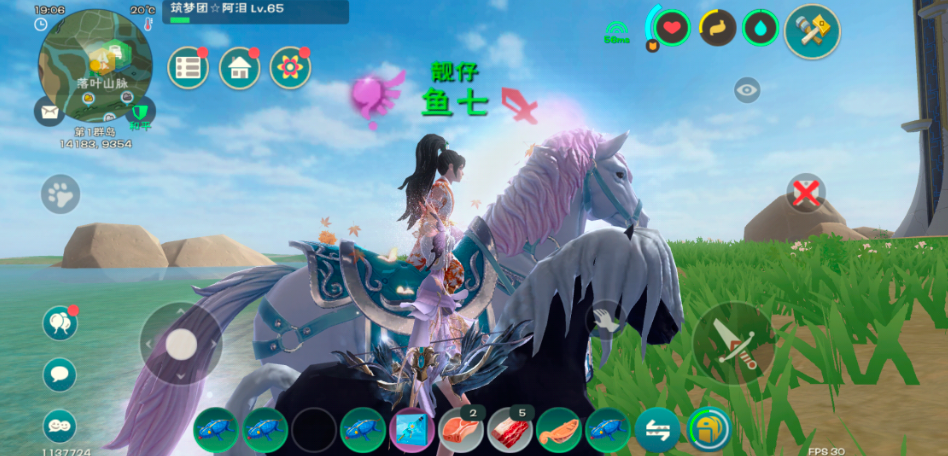 创造与魔法有哪些坐骑 创造与魔法有哪些坐骑