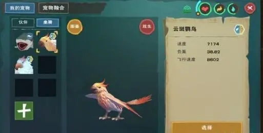 创造与魔法云斑鹦鸟多少级可抓 创造与魔法云斑鹦鸟多少级可抓