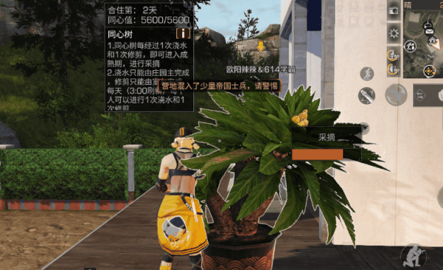 明日之后同心树怎么种 明日之后同心树怎么种