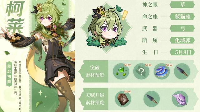 原神柯莱是谁 原神柯莱是谁