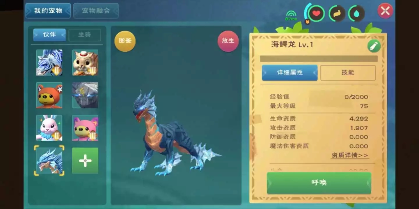 创造与魔法奇遇宠物有哪些