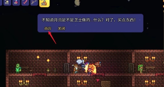 泰拉瑞亚爆炸兔怎么使用