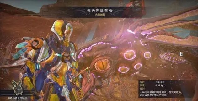 星际战甲碲元素哪里刷最多 星际战甲碲元素哪里刷最多
