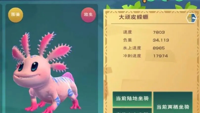 创造与魔法蝾螈保底多少包 蝾螈的作用是什么 创造与魔法蝾螈保底多少包 蝾螈的作用是什么