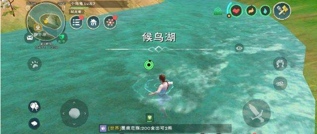 创造与魔法娃娃鱼怎么驯服 创造与魔法娃娃鱼怎么驯服