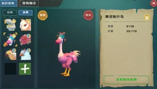 创造与魔法驯服陆行鸟要马鞍 这个动物的飞行加成怎么样 创造与魔法驯服陆行鸟要马鞍 这个动物的飞行加成怎么样