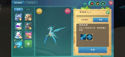 创造与魔法疗海龙和愈海龙哪个好 新人选择哪些坐骑比较好 创造与魔法疗海龙和愈海龙哪个好 新人选择哪些坐骑比较好