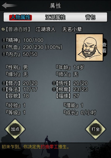 放置江湖先天属性点怎么分配 属性增益有什么用 放置江湖先天属性点怎么分配 属性增益有什么用