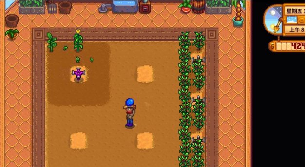 星露谷物语齐先生25层任务奖励是什么 星露谷物语齐先生25层任务奖励是什么