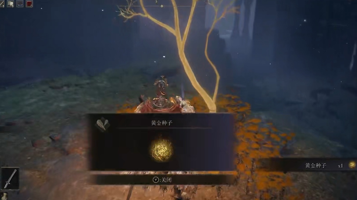 艾尔登法环黄金种子怎么获得