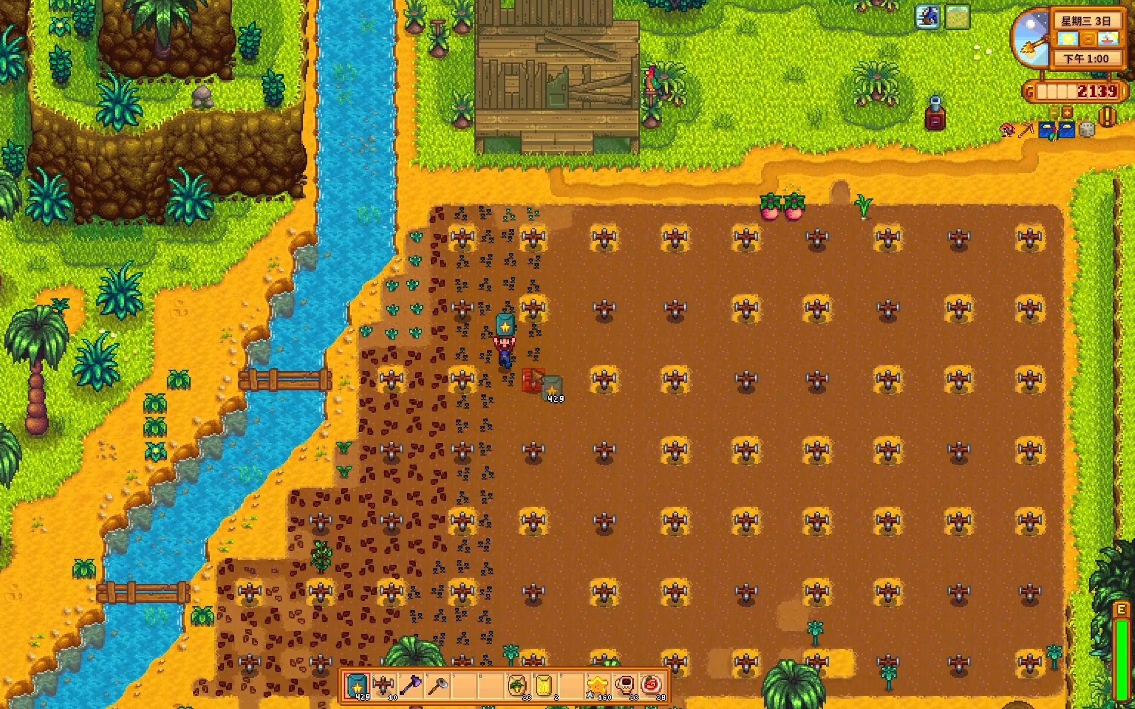 星露谷物语蕨菜在哪里获得 星露谷物语蕨菜在哪里获得