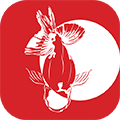 寻鱼直播app平台官方免费