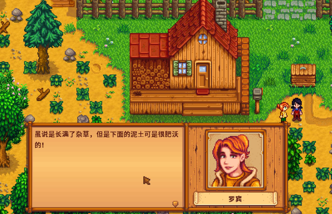 星露谷物语怎么变性别
