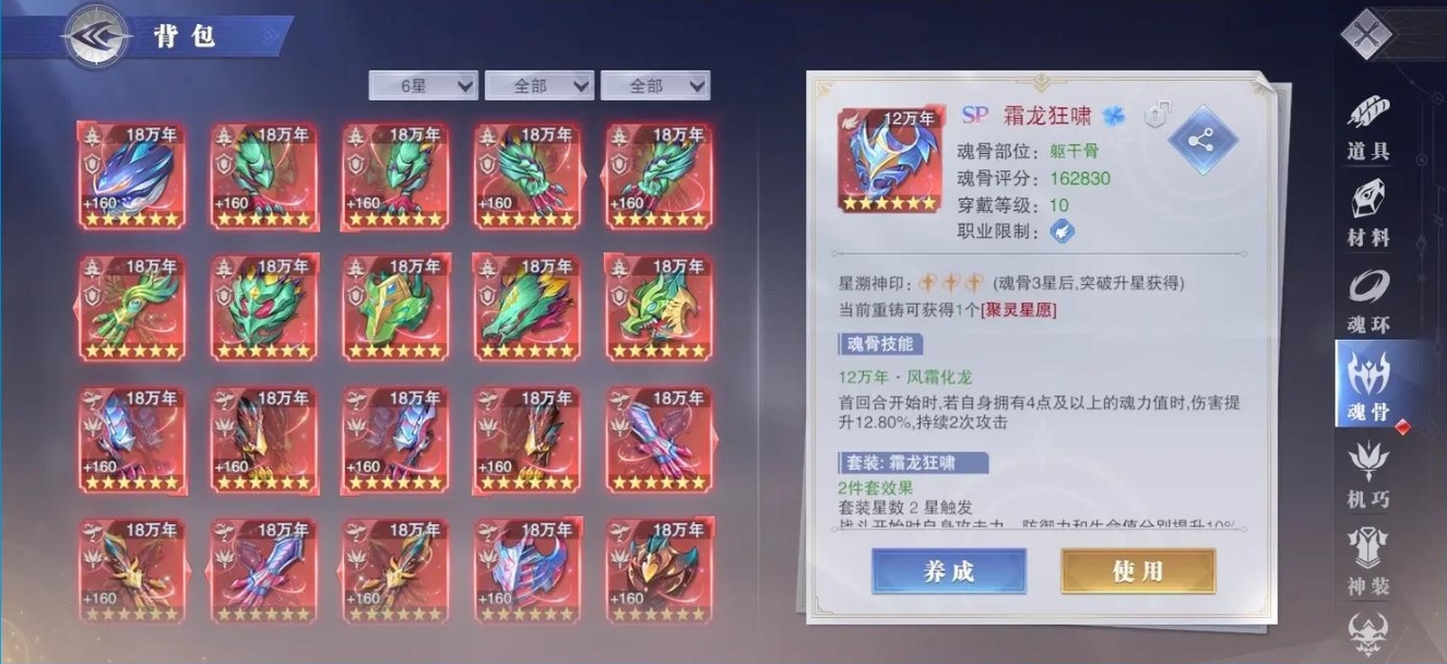 斗罗大陆魂师对决披风队阵容怎么玩