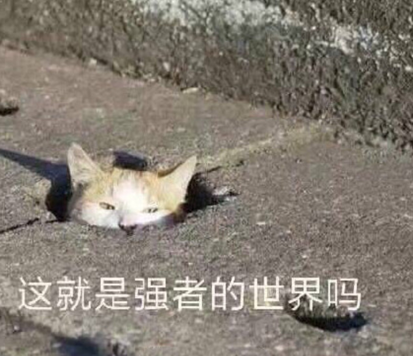 逆水寒新副本打成公开课,全服膜拜大师教学 逆水寒新副本打成公开课,全服膜拜大师教学