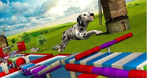 特技狗狗游戏截图2