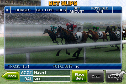 赛马3D游戏截图1