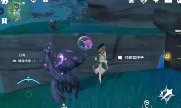 原神绣球哪里多