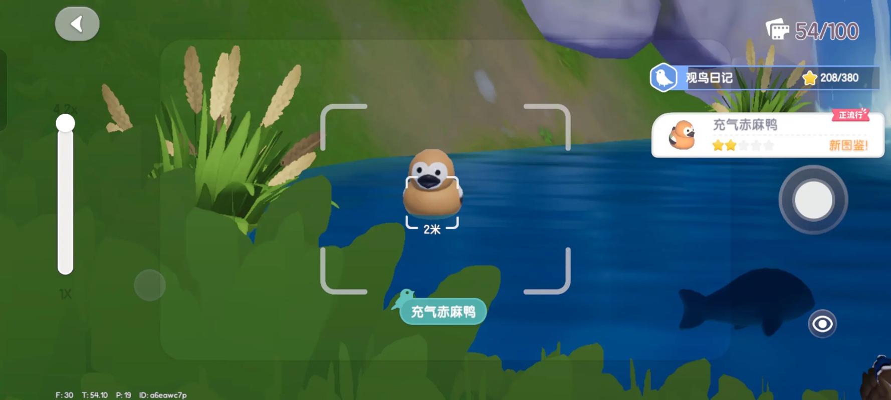 心动小镇观鸟怎么玩 心动小镇观鸟怎么玩