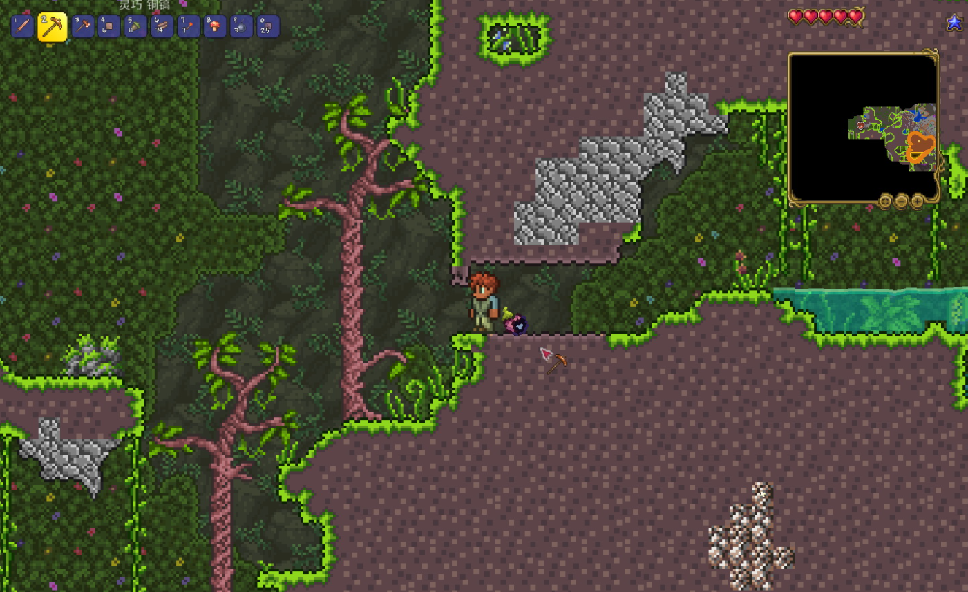 泰拉瑞亚药草怎么种植 泰拉瑞亚药草怎么种植