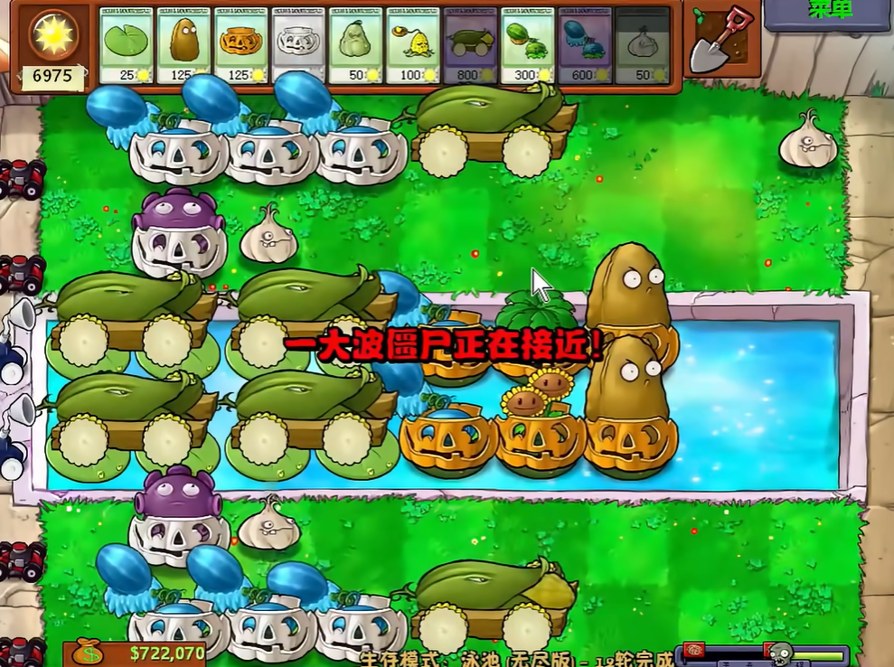 植物大战僵尸无尽模式怎么摆阵比较好