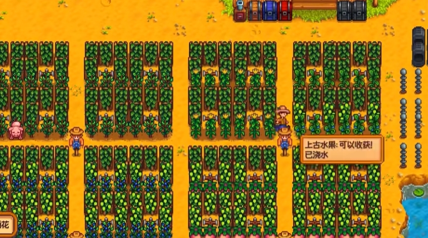 星露谷物语如何提升耕种经验