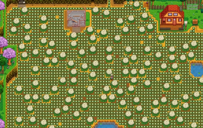 星露谷物语超大作物怎么种