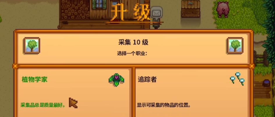 星露谷物语养猪流怎么玩 星露谷物语养猪流怎么玩