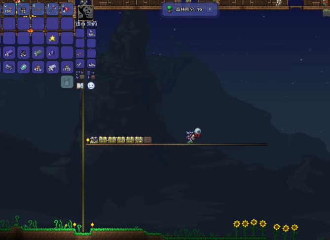 泰拉瑞亚照明宠物怎么获得