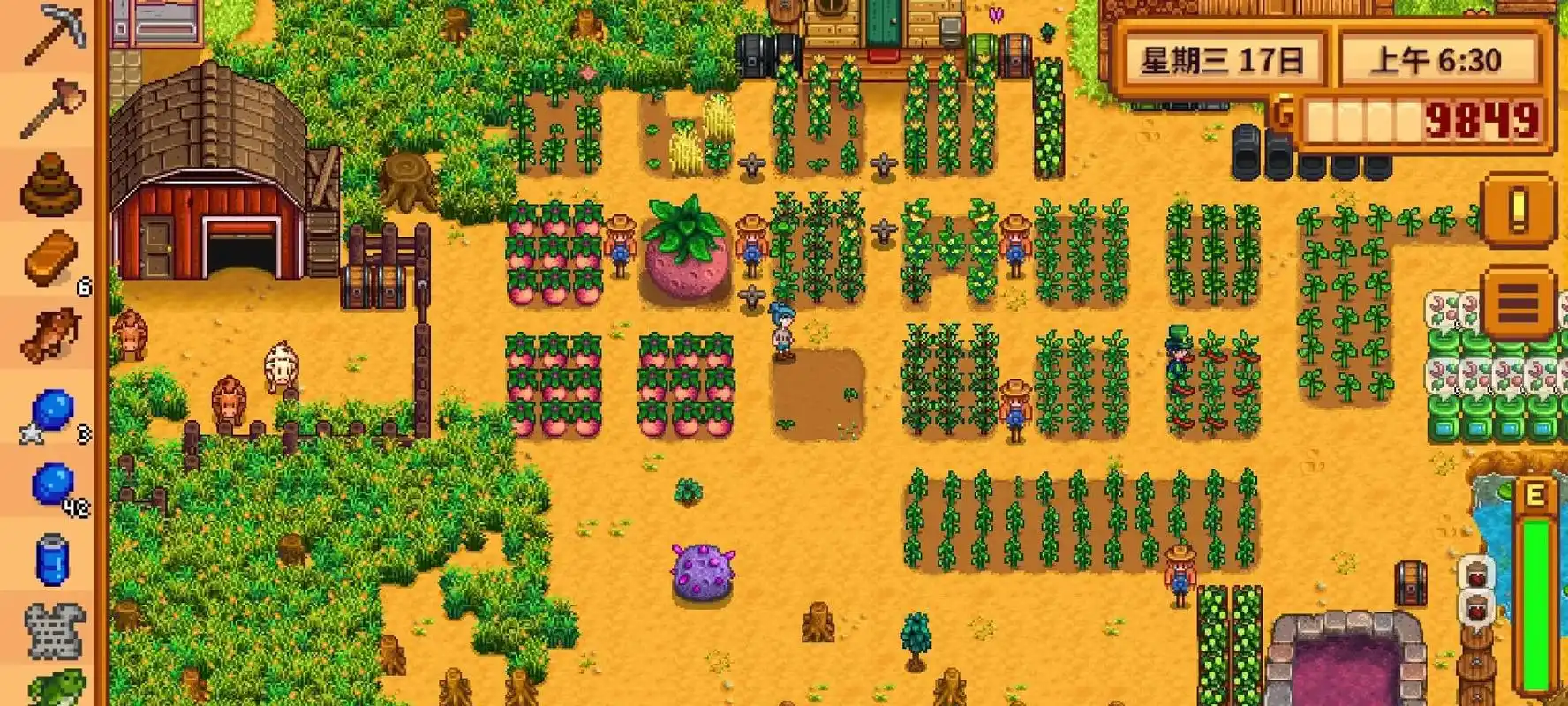 星露谷物语巨大作物有哪些