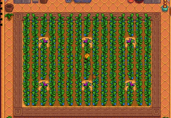 星露谷物语温室怎么搭配