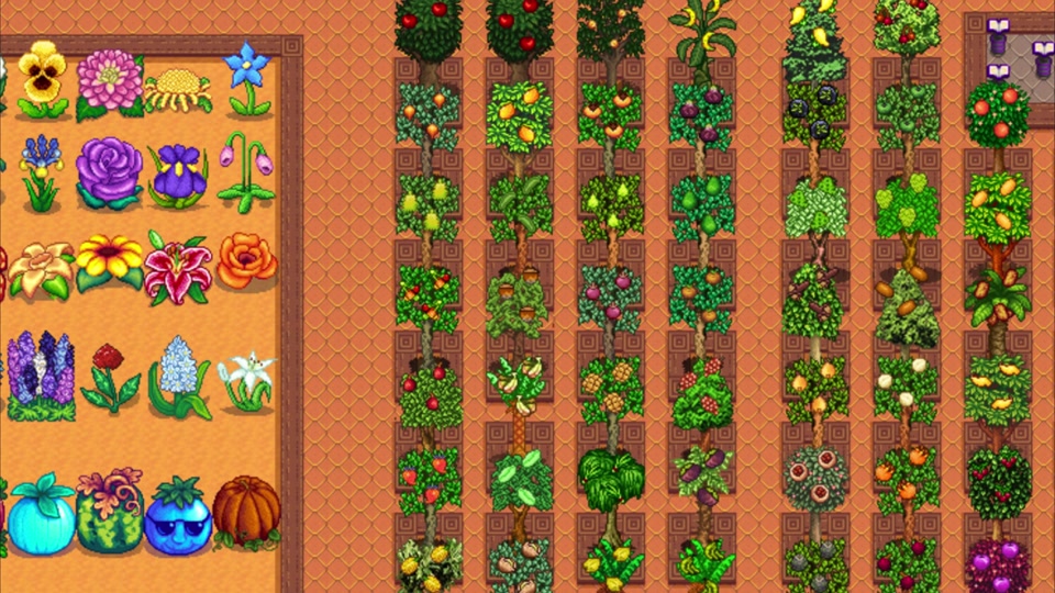 星露谷物语果树怎么获得