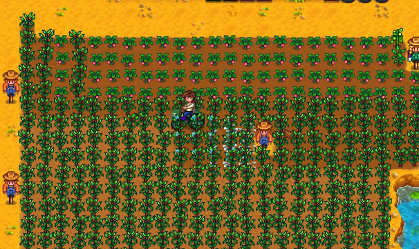 星露谷物语怎么获取咖啡