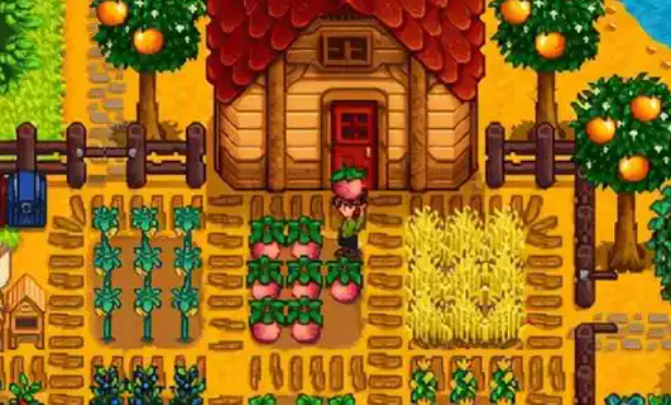 星露谷物语怎么获取咖啡