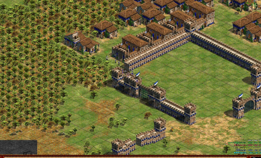 帝国时代2游娣特怎么过