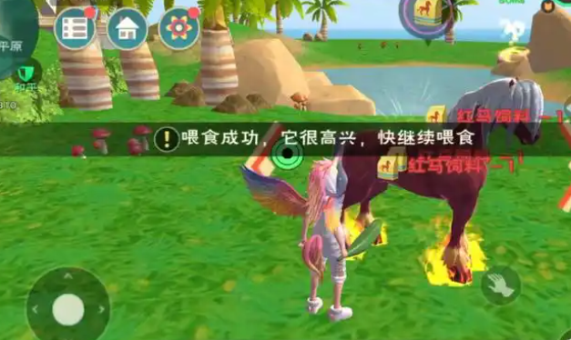 创造与魔法怎么抓云斑鹦鸟