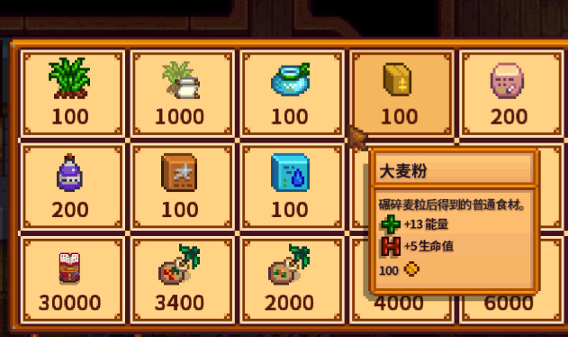 星露谷物语绿洲商店买什么好