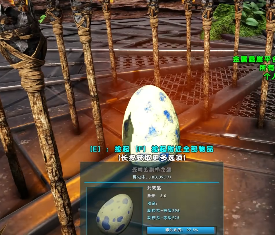 方舟生存进化如何孵龙蛋
