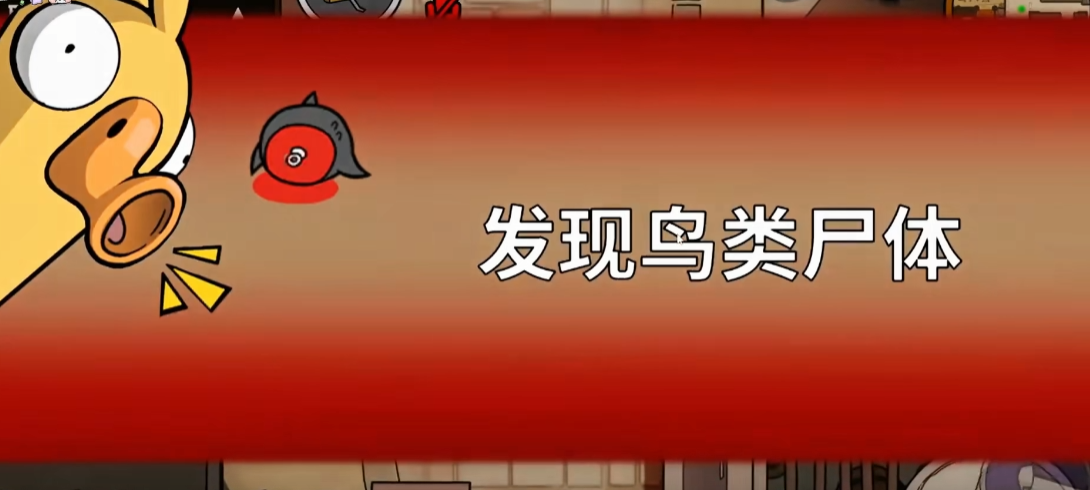鹅鸭杀流浪儿童有什么用途 鹅鸭杀流浪儿童有什么用途