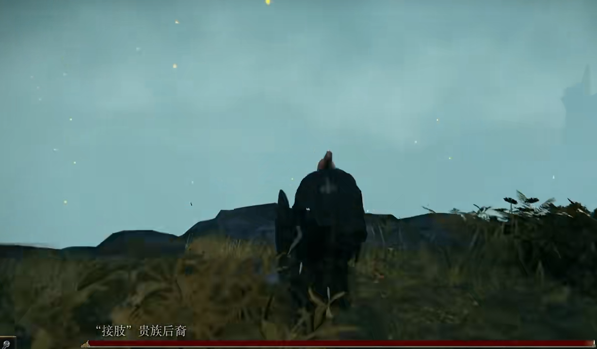 艾尔登法环密使开局怎么玩