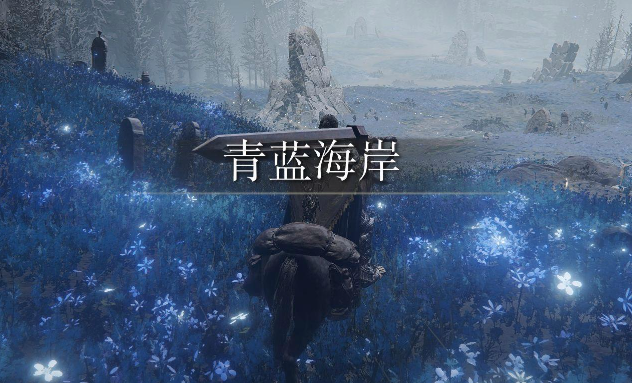 艾尔登法环南方海岸如何探索