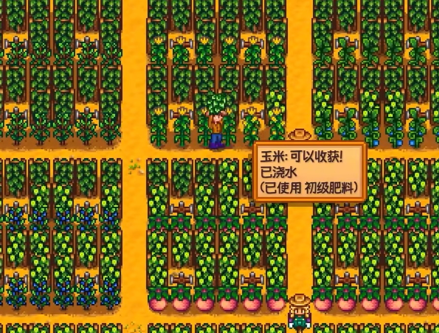 星露谷物语耕种等级怎么升级 星露谷物语耕种等级怎么升级