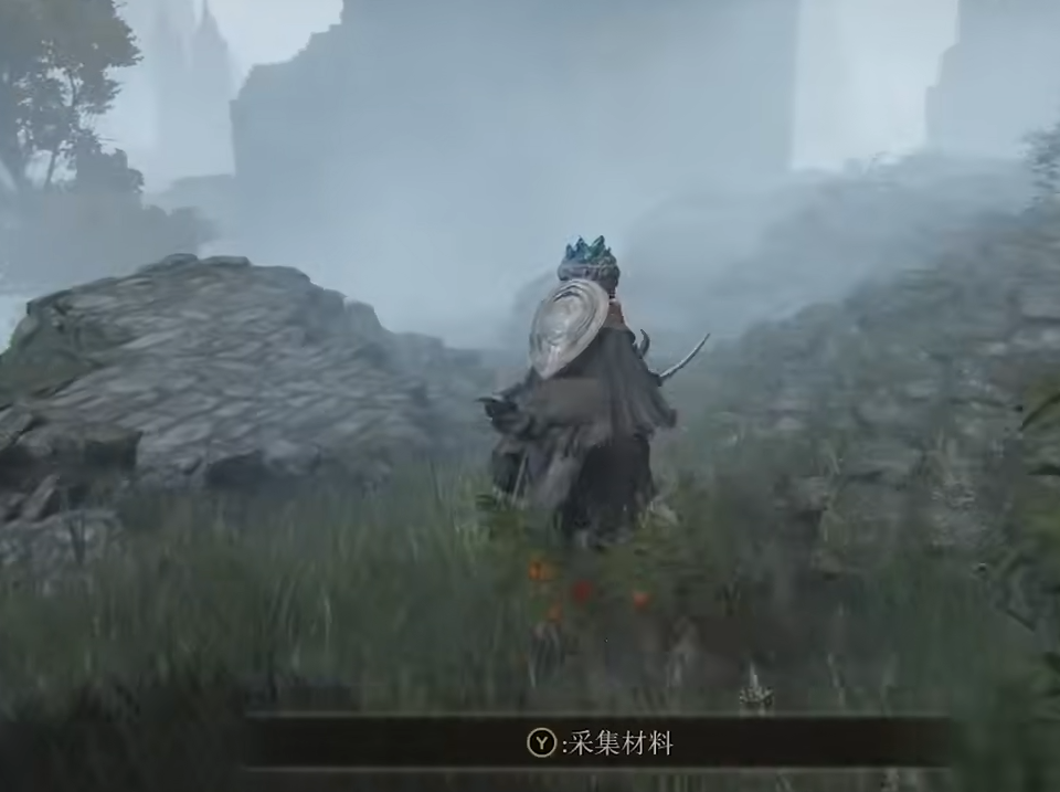 艾尔登法环对蝎护符怎么收集