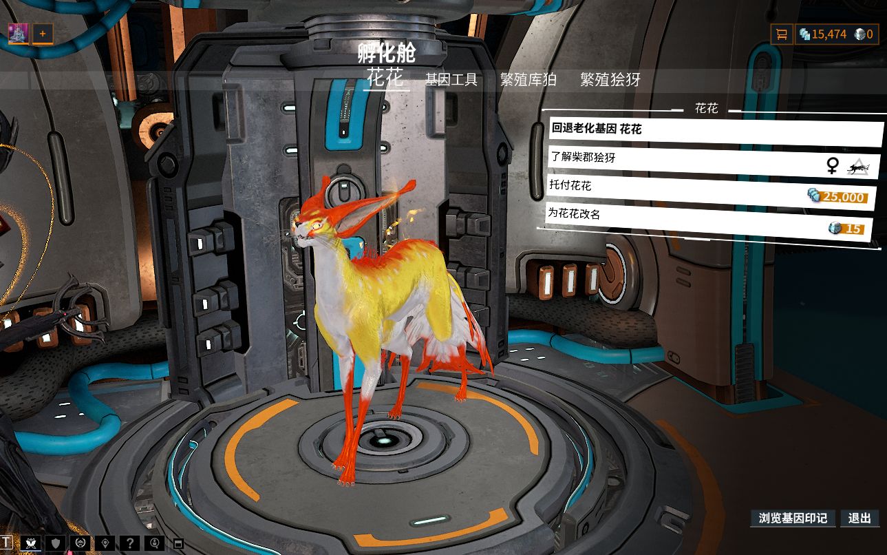 星际战甲猫基因怎么扫描获取 星际战甲猫基因怎么扫描获取