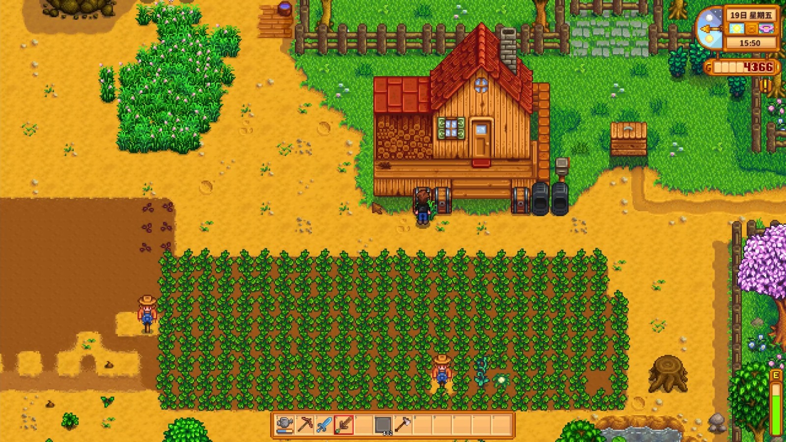 星露谷物语夏季种植什么 星露谷物语夏季种植什么