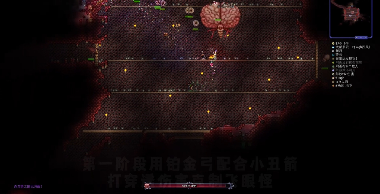 泰拉瑞亚克苏鲁之脑有哪些技能